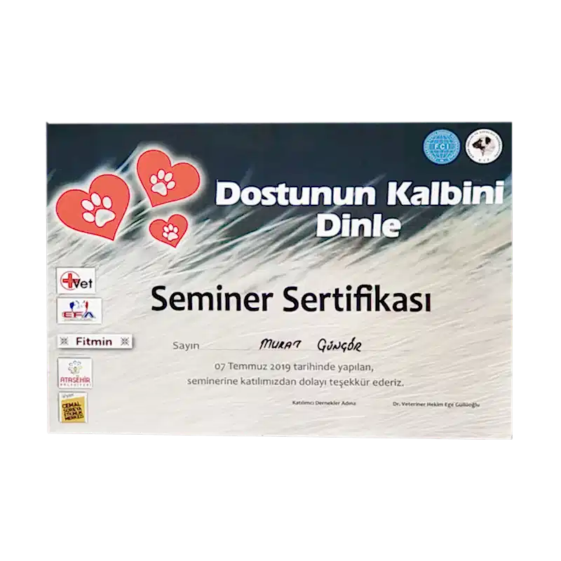 Müşteri Logosu