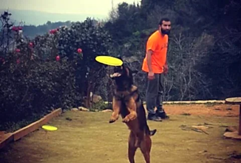 İstanbul Köpek Eğitim Merkezi En İyi Köpek Eğitim Merkezi Murat GÜNGÖR